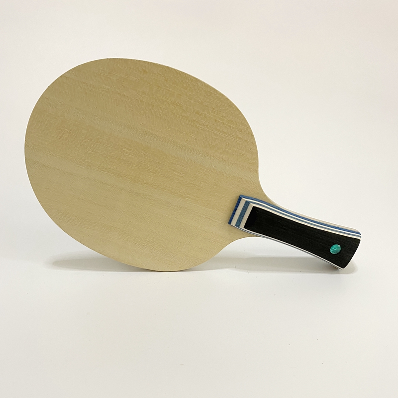 Lemuria VIS Carbon Fiber Table - Xu Xin Table Tennis recension och pris