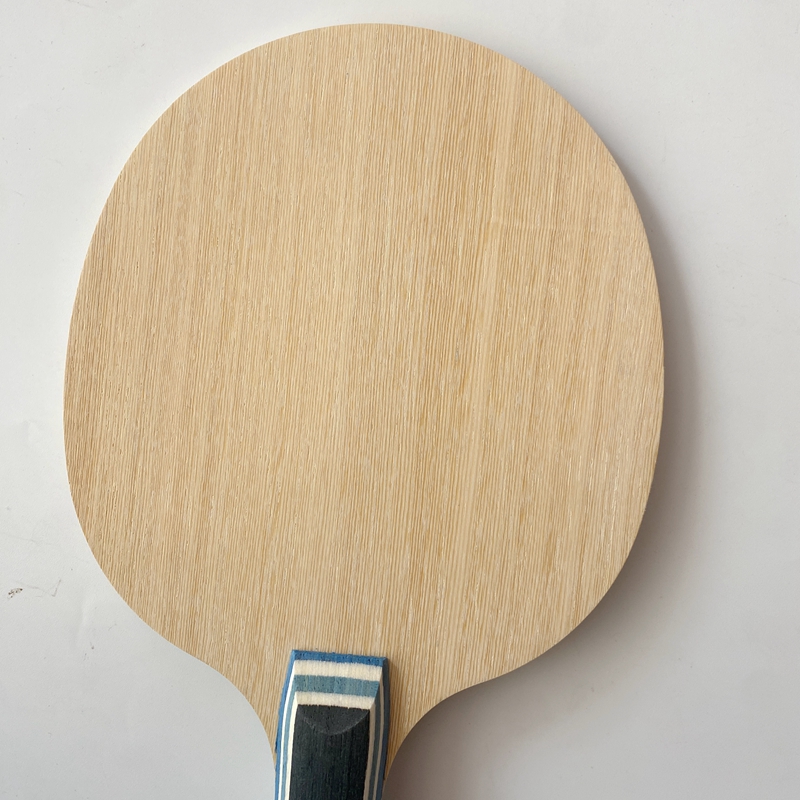 Lemuria VIS Carbon Fiber Table - Xu Xin Table Tennis recension och pris